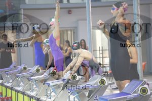 Image 100 E Dpm 0040