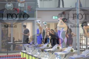 Image 100 E Dpm 0043