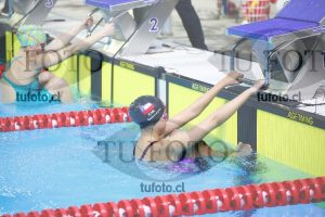 Image 100 E Dpm 0051