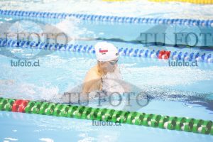 Image 100 P D PM 0081