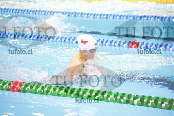 Image 100 P D PM 0081