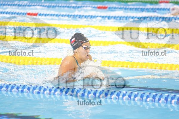 Image 100 P D PM 0080
