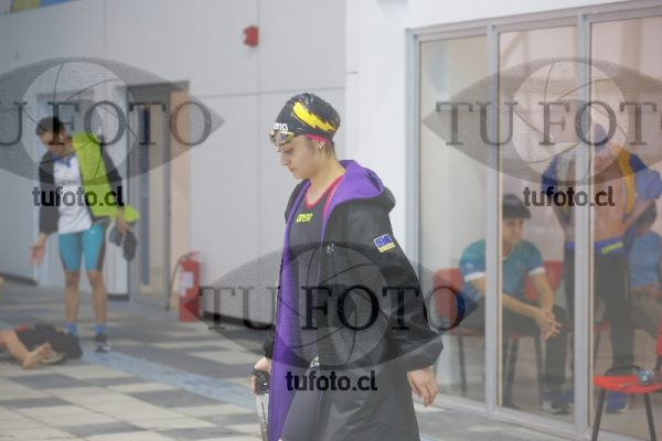 Image 100 P D PM 0054