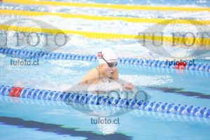Image 100 P D PM 0044