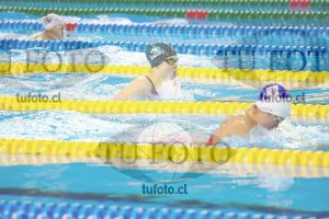 Image 100 P D PM 0079