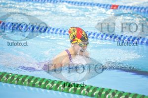 Image 100 P D PM 0045