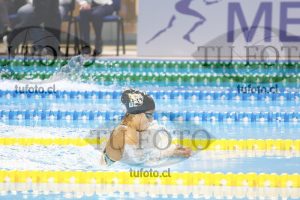 Image 100 P D PM 0046