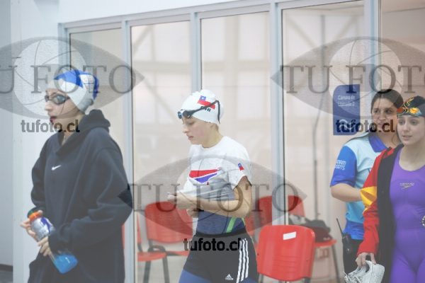 Image 100 P D PM 0008