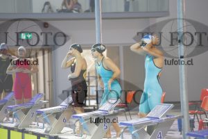 Image 100 P D PM 0024