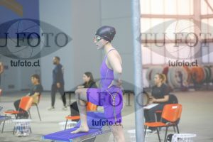 Image 100 P D PM 0031