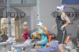 Image 100 P D PM 0015