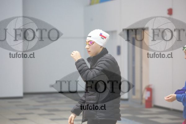 Image 100 P D PM 0001