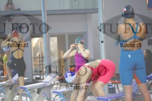 Image 100 P D PM 0063