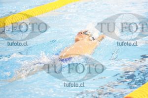 Image 400 C V PM 0036