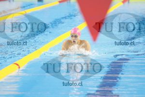 Image 400 C V PM 0041