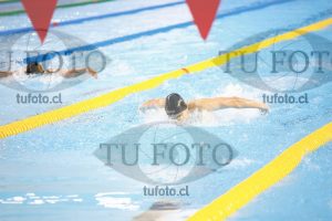 Image 400 C V PM 0085