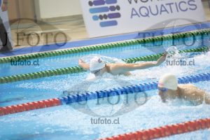 Image 400 C V PM 0088