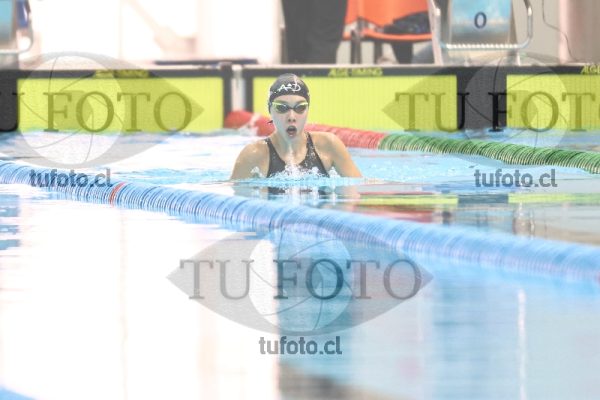 Image 100 P M 0029