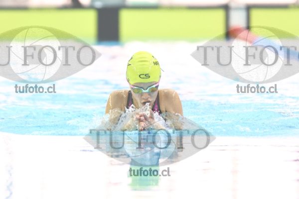 Image 100 P M 0033
