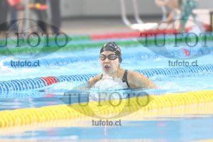 Image 100 P M 0062