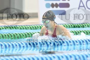 Image 100 P M 0068