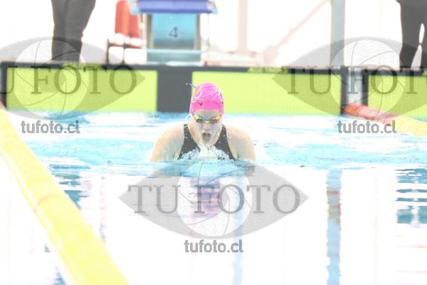 Image 100 P M 0146