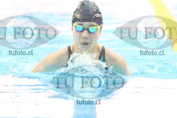 Image 100 P M 0156