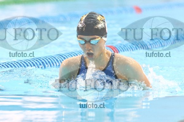 Image 100 P M 0158