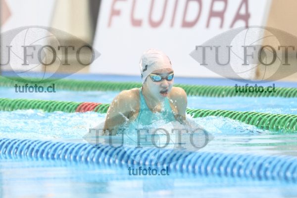 Image 100 P M 0196