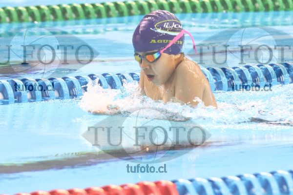 Image 100 P H 0053