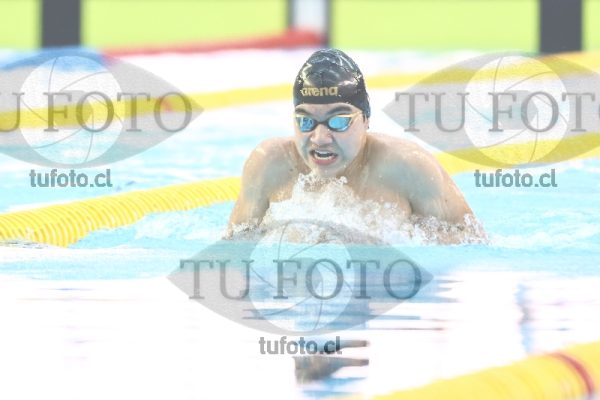 Image 100 P H 0108