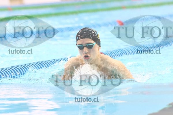 Image 100 P H 0244