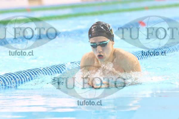 Image 100 P H 0245