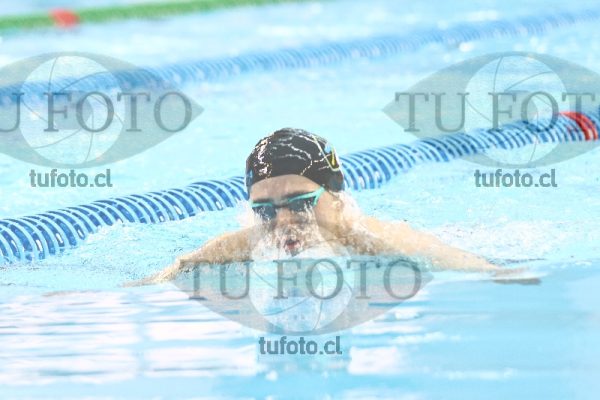 Image 100 P H 0247