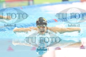 Image 200 M M 0008
