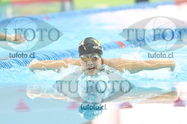 Image 200 M M 0008