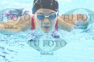 Image 200 M M 0019
