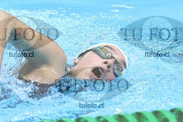 Image 200 L M 0029