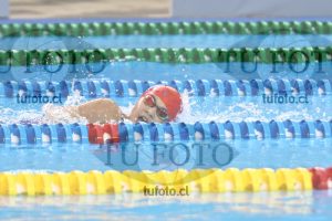 Image 200 L M 0100