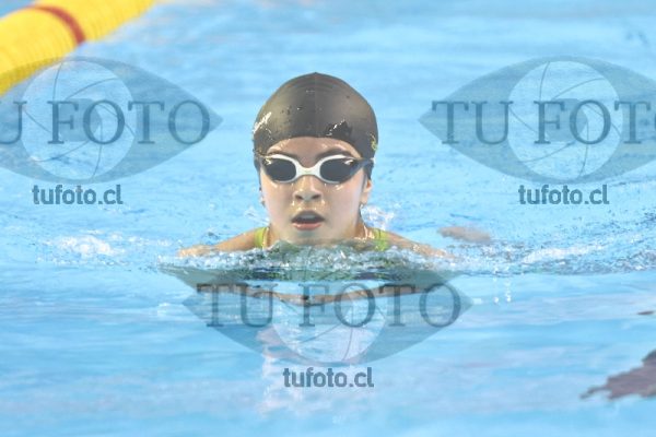 Image 200 P M 0017