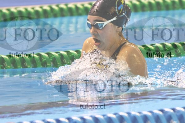 Image 200 P M 0020