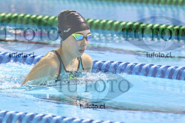 Image 200 P M 0056