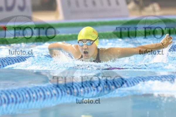 Image 100 M M 0010