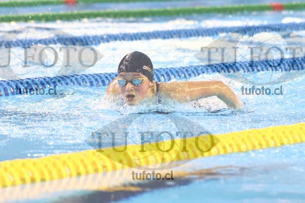Image 100 M M 0028