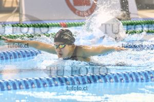 Image 100 M M 0030