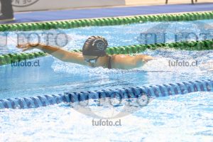 Image 100 M M 0031