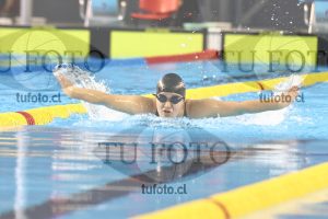 Image 100 M M 0037