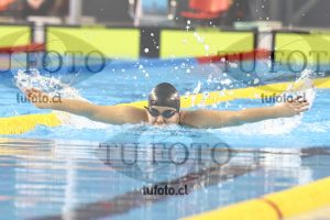 Image 100 M M 0039