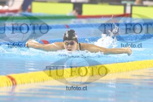 Image 100 M M 0040