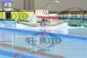 Image 100 M M 0046